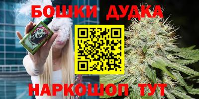 винт Дубна