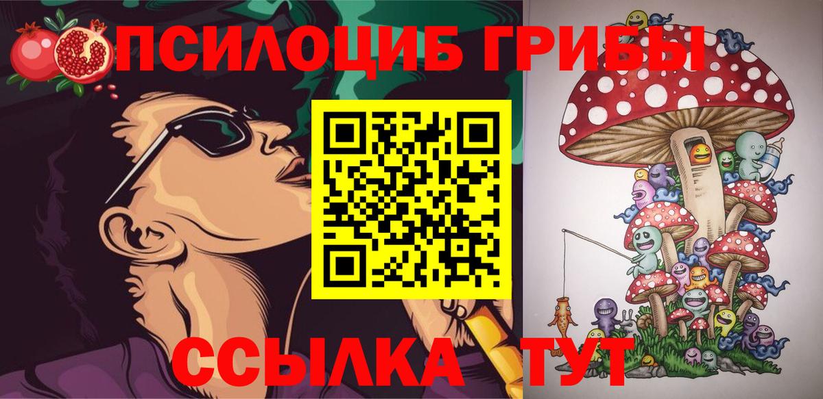 Галлюциногенные грибы ЛСД  Галлюциногенные грибы мицелий  Междуреченск  наркошоп  Вход с VPN 
